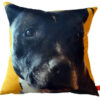 Woof. Massive Dog. Pet Design. Pet cushions, bespoke pet cushion, pets on fabric, pets on cushions, unique pet gifts, pet gift ideas, swin, claireswindale, claire swindale