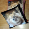 picture of two cushions with dog faces on each sitting on a wooden floor