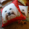 pair of cushions with dog portraits sitting on rug