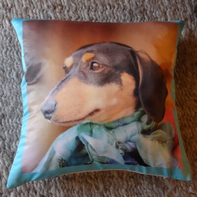 Picture of a Dachshund Portrait on a cushion with duck egg blue border sitting on rug