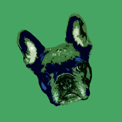 Pop Art style images of a French bulldogs head tilted left with 50s green background