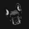 Pop Art Style image of a French Bulldogs face tilted left on black background