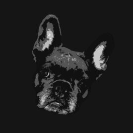 Pop Art Style image of a French Bulldogs face tilted right on black background