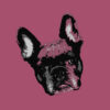 Pop Art Style image of a French Bulldogs face tilted left on delicious Pink background